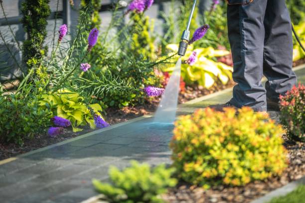 Best Sidewalk and Walkway Cleaning  in Fort Myers Beach, FL